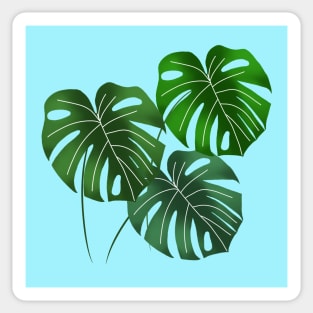 Monstera leaves - blue Sticker